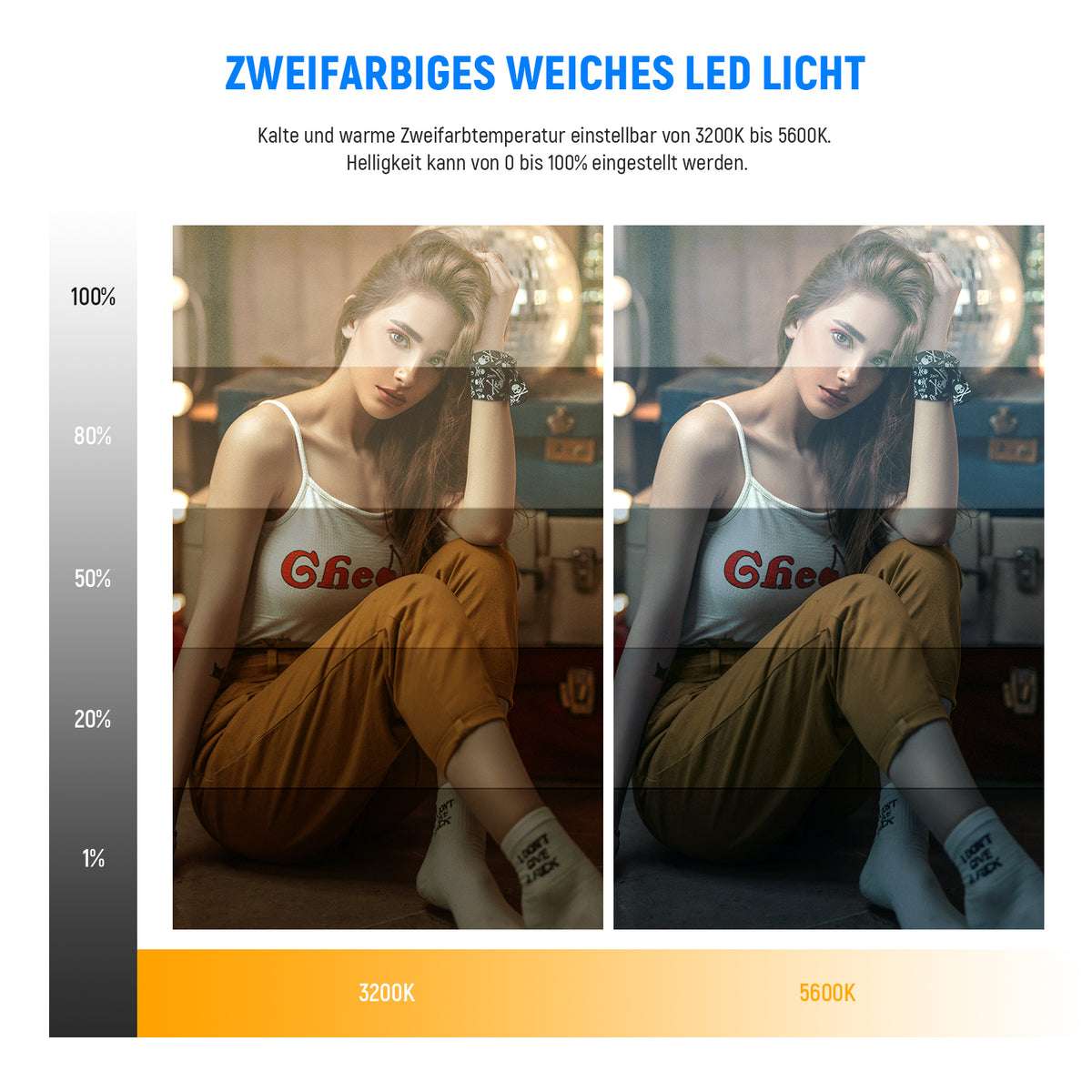 NEEWER NL-192AI LED-Videoleuchte Bi-Color Farbeffekt von 3200K bis 5600K